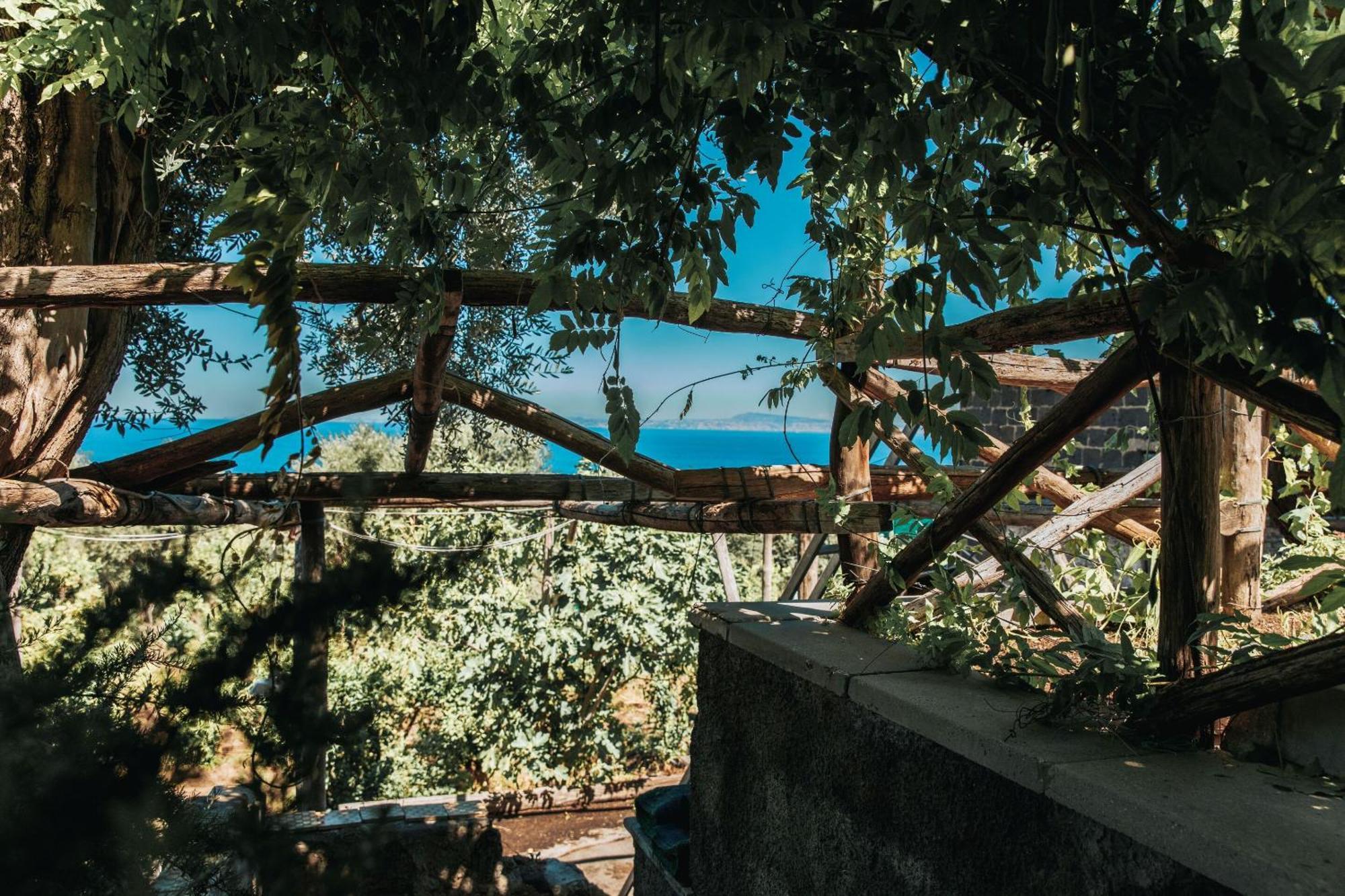 Villa Puolo - Sorrento Exteriör bild